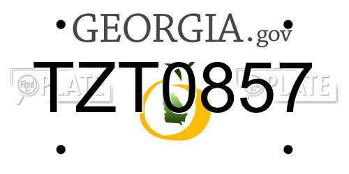 TZT0857 Georgia License Plate