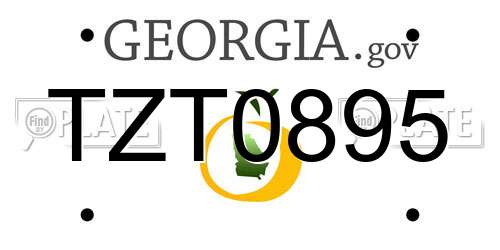 TZT0895 Georgia License Plate