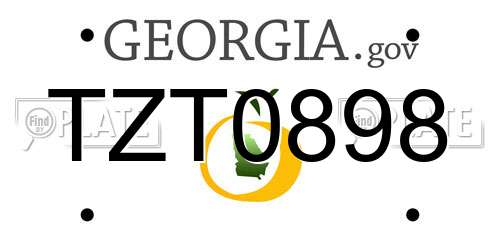 TZT0898 Georgia License Plate