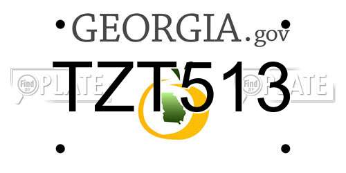 TZT513 Georgia License Plate