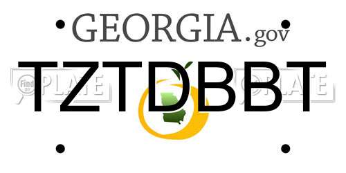 TZTDBBT Georgia License Plate