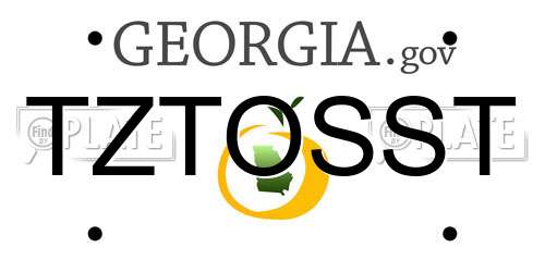 TZTOSST Georgia License Plate