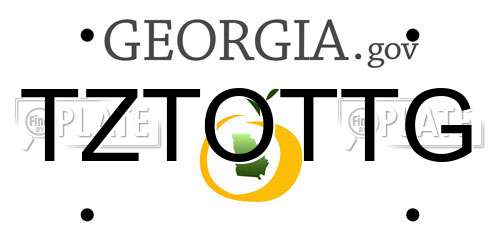 TZTOTTG Georgia License Plate