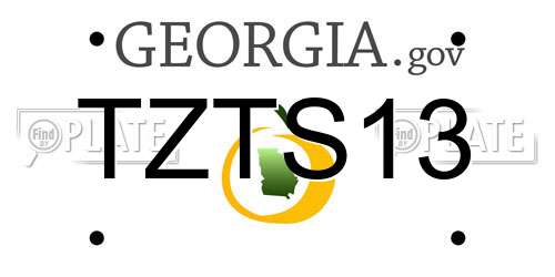 TZTS13 Georgia License Plate