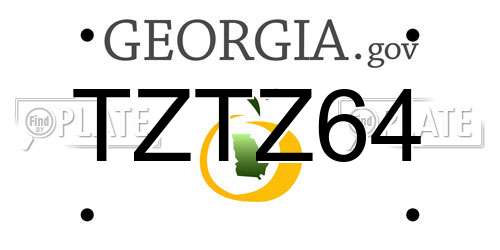 TZTZ64 Georgia License Plate