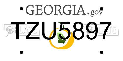 TZU5897 Georgia License Plate