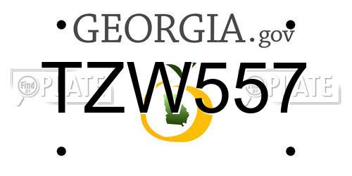 TZW557 Georgia License Plate