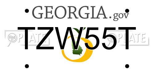TZW55T Georgia License Plate