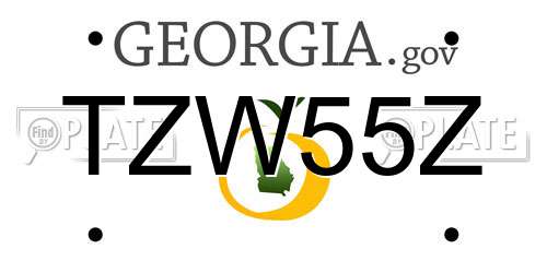 TZW55Z Georgia License Plate
