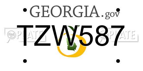 TZW587 Georgia License Plate