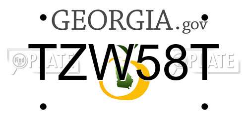 TZW58T Georgia License Plate