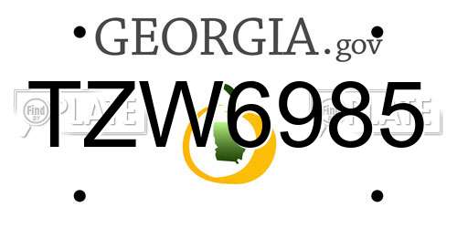 TZW6985 Georgia License Plate