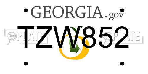 TZW852 Georgia License Plate