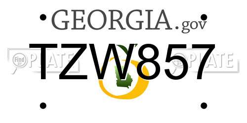 TZW857 Georgia License Plate