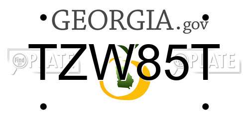 TZW85T Georgia License Plate