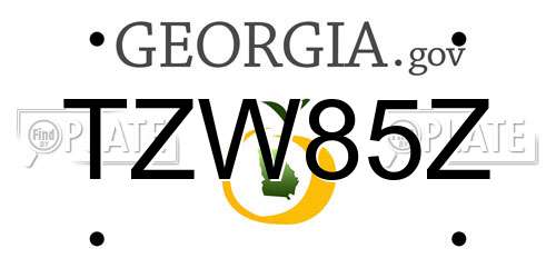 TZW85Z Georgia License Plate