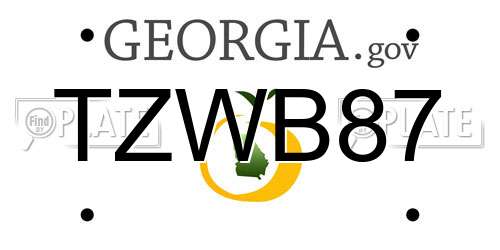 TZWB87 Georgia License Plate