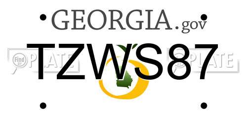 TZWS87 Georgia License Plate