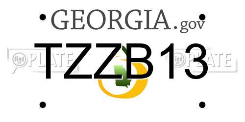 TZZB13 Georgia License Plate