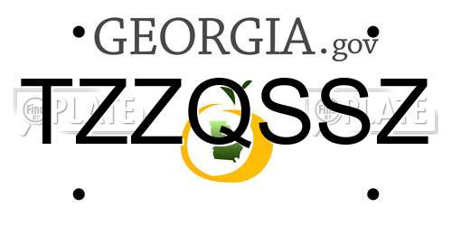 TZZQSSZ Georgia License Plate