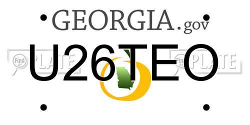 U26TEO Georgia License Plate