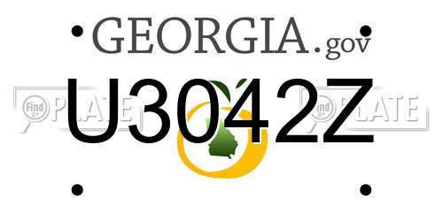 U3042Z Georgia License Plate