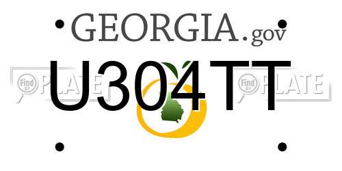 U304TT Georgia License Plate