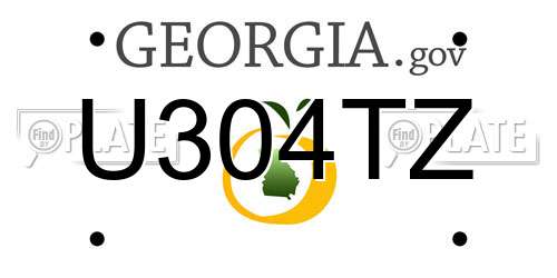 U304TZ Georgia License Plate