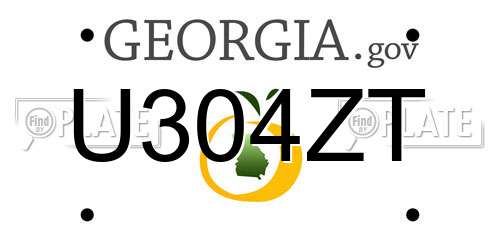 U304ZT Georgia License Plate