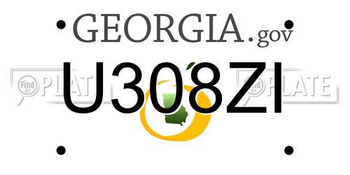 U308ZI Georgia License Plate
