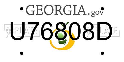 U76808D Georgia License Plate