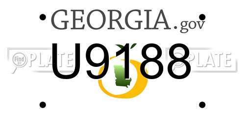 U9188 Georgia License Plate