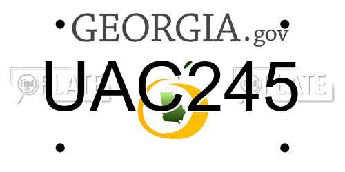 UAC245 Georgia License Plate