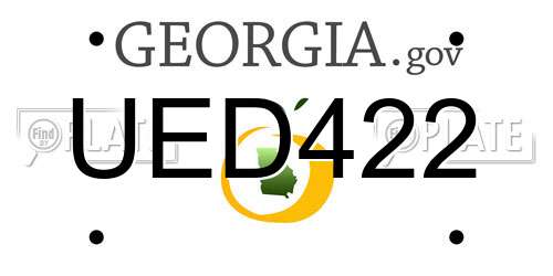 UED422 Georgia License Plate