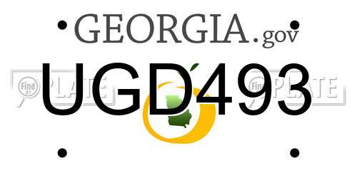 UGD493 Georgia License Plate