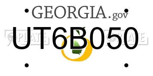 UT6B050 Georgia License Plate