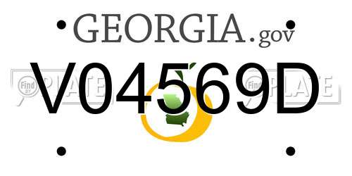 V04569D Georgia License Plate