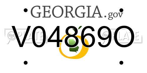 V04869O Georgia License Plate