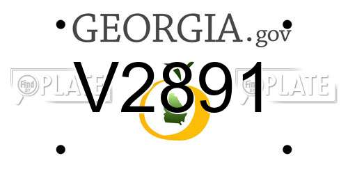 V2891 Georgia License Plate
