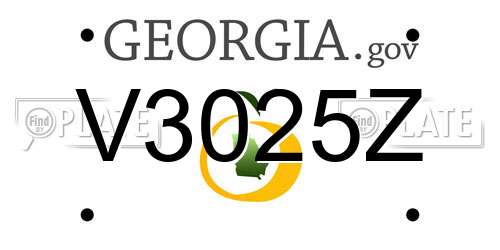 V3025Z Georgia License Plate