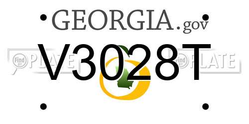 V3028T Georgia License Plate