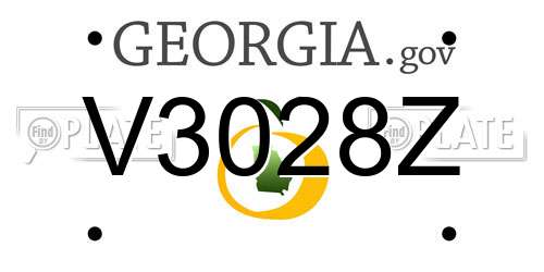 V3028Z Georgia License Plate