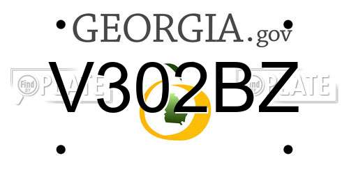 V302BZ Georgia License Plate