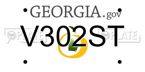 V302ST Georgia License Plate