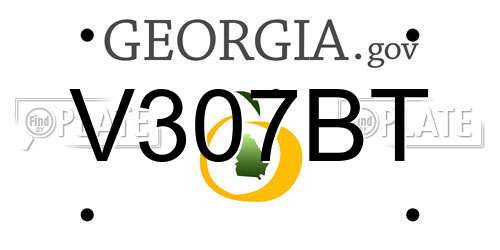 V307BT Georgia License Plate