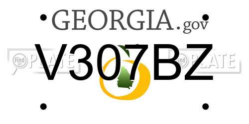 V307BZ Georgia License Plate