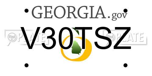 V30TSZ Georgia License Plate