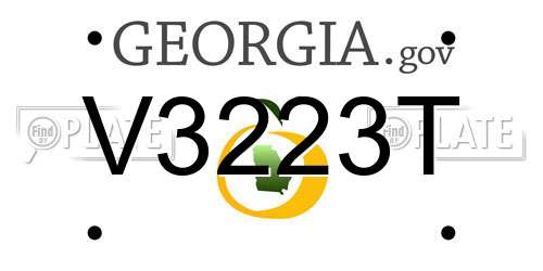 V3223T Georgia License Plate