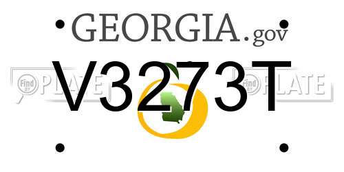 V3273T Georgia License Plate