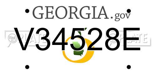 V34528E Georgia License Plate